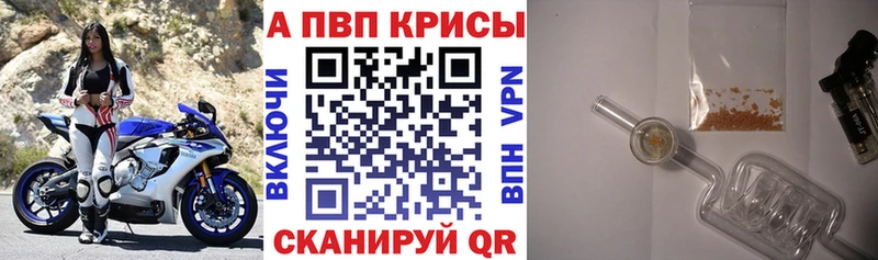 Alpha-PVP СК КРИС  как найти закладки  Дигора 
