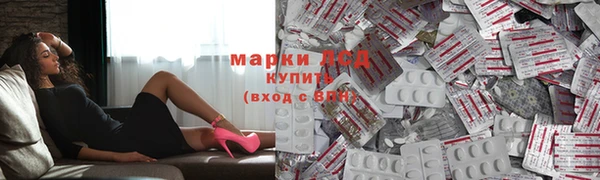 гидра Белоозёрский