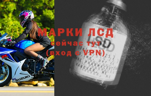 стаф Беломорск