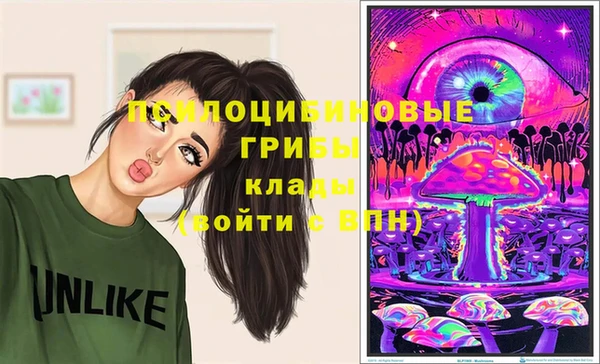 мдма Белокуриха