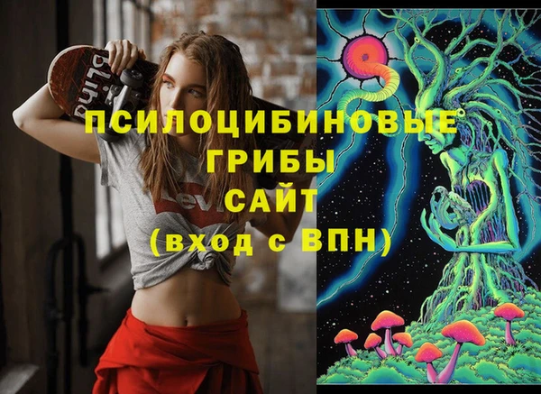 гидра Белоозёрский