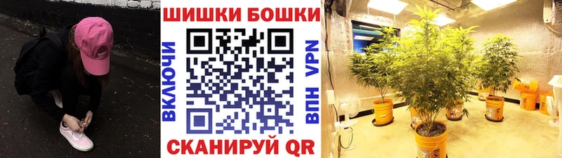 Марихуана марихуана  Дигора 
